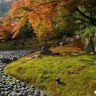 Осень в Японии8.jpg